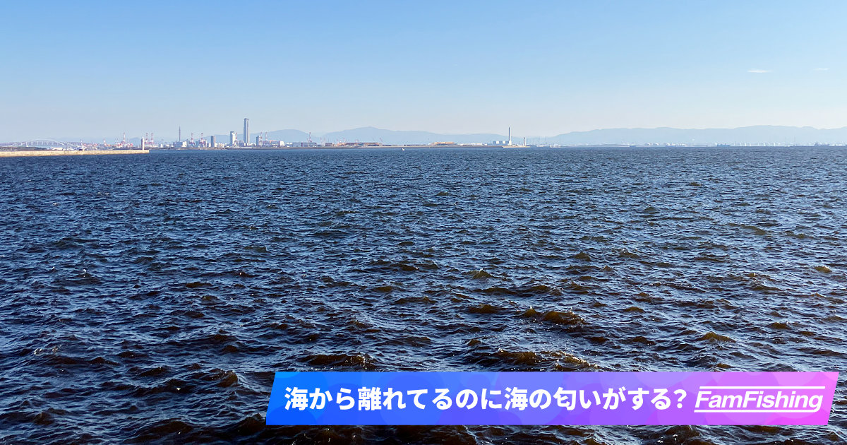 海から離れた場所で海の匂いがする