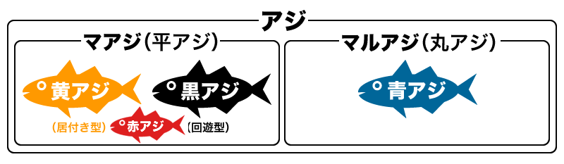 アジの色別の呼び名