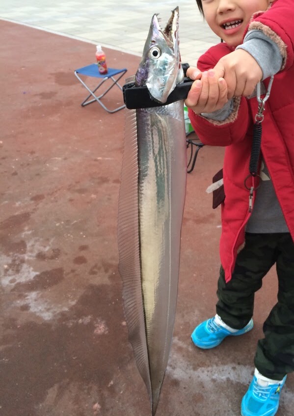 その日その場所で最初にタチウオを釣り上げる方法 Fam Fishing その日その場所で最初にタチウオを釣り上げる方法 Fam Fishing