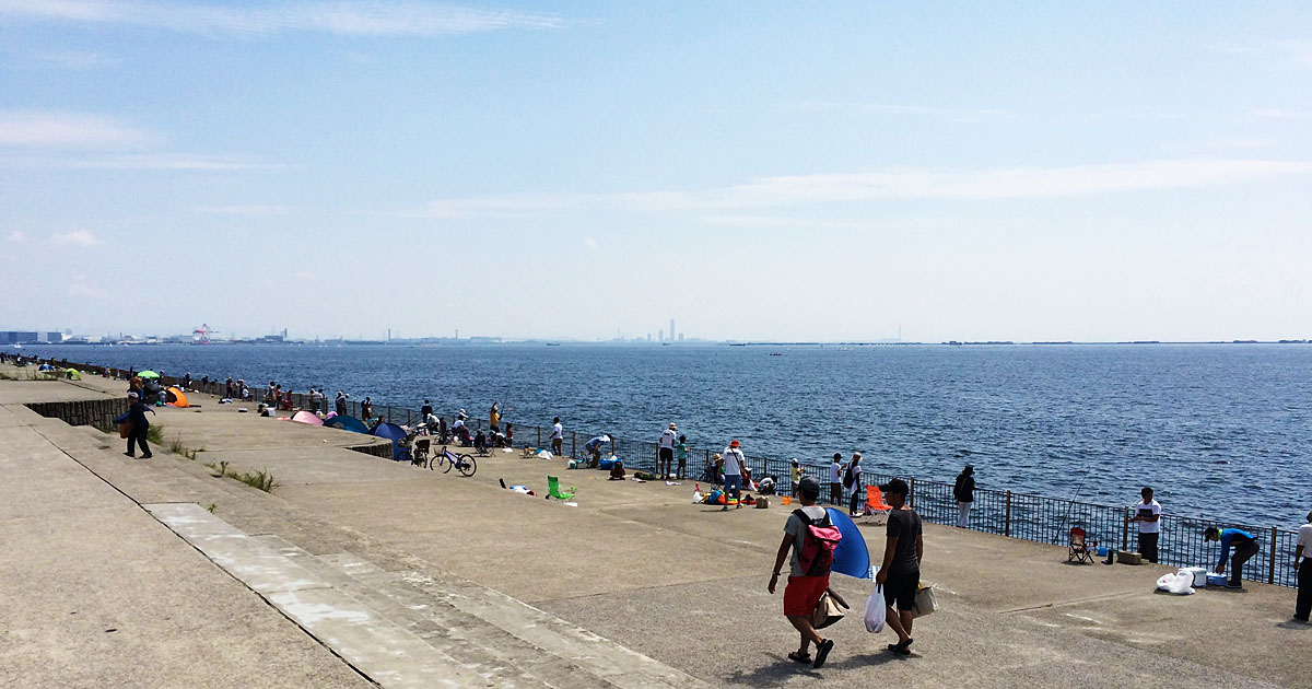 南港 海 釣り 公園 釣果