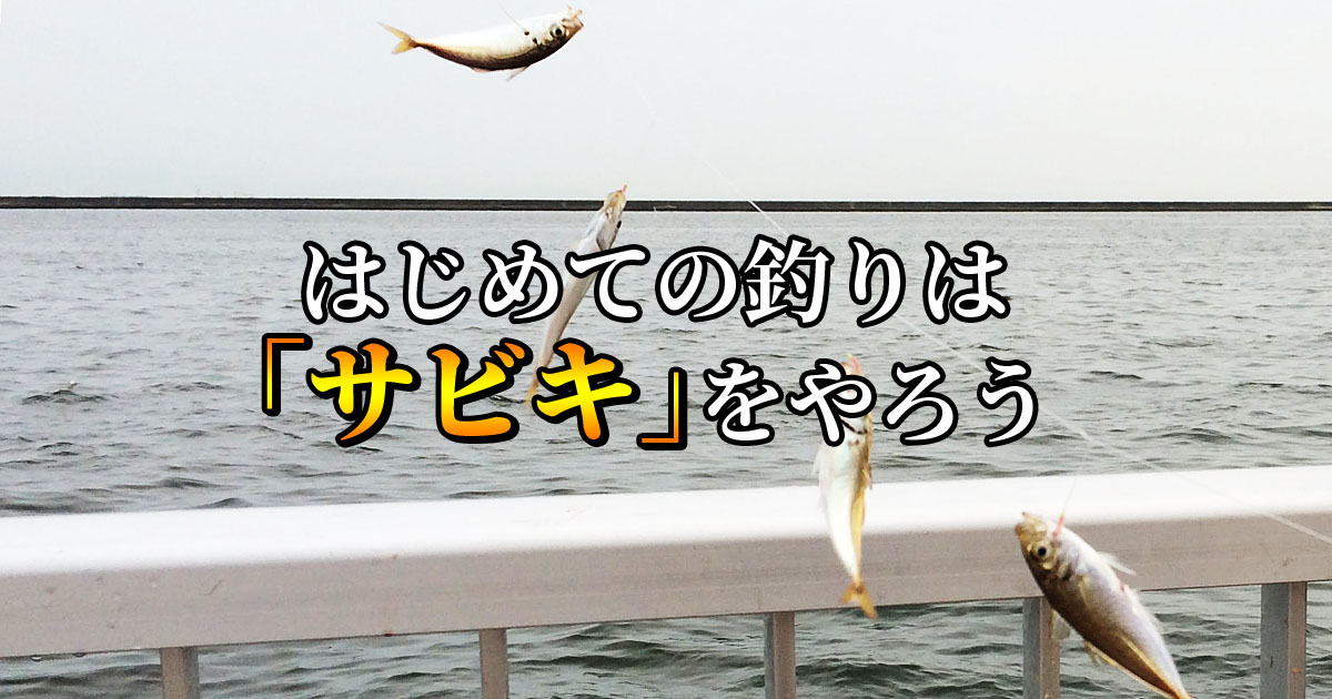 サビキ釣り入門 初心者ここから始めよう Fam Fishing