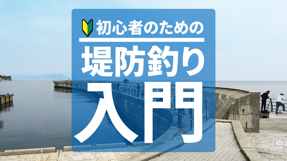 初心者のための堤防釣り入門