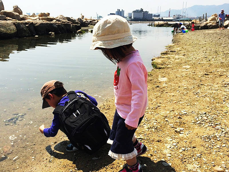 南芦屋浜の潮だまりにて