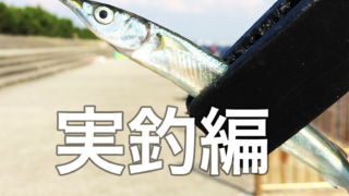 大阪湾のサヨリ釣りスタートガイド 準備編 Fam Fishing