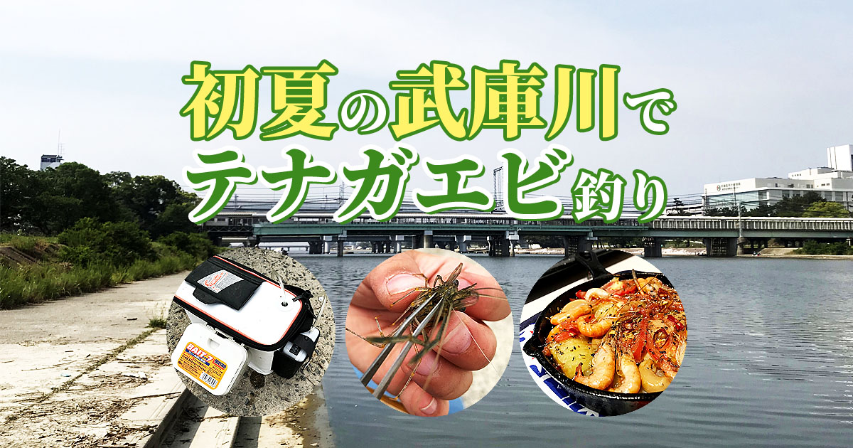 武庫川で初めてのテナガエビ釣り@武庫川下流［2019.05.26］ | Fam Fishing