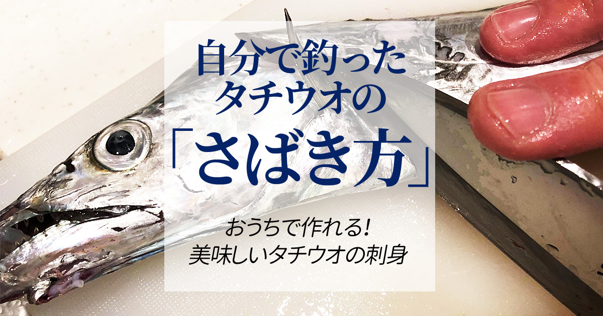 釣ったタチウオのさばき方