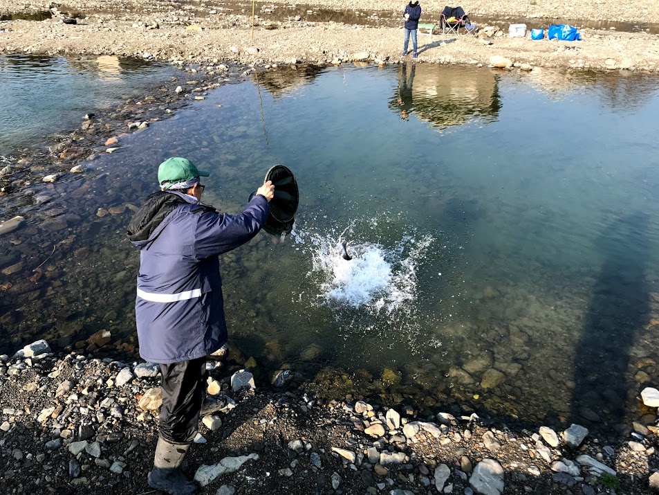 芥川マス釣り場