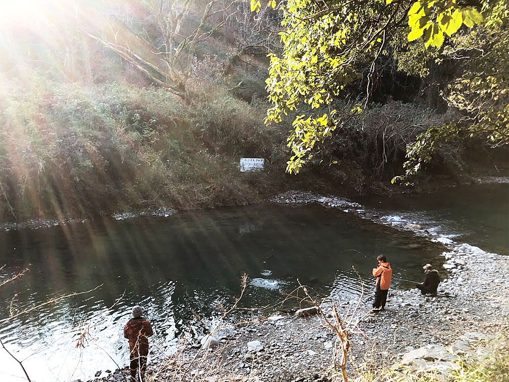 芥川の柳ケ瀬釣り場