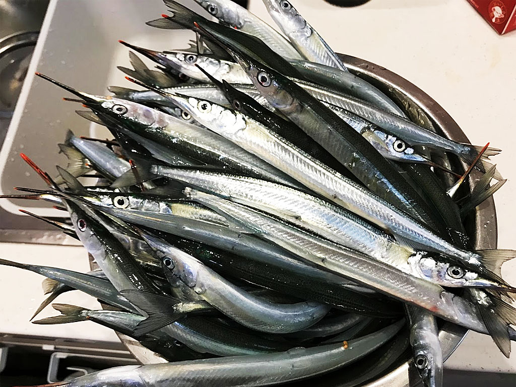 よく釣れるのはどっち エサ釣りとルアー釣りを比較しよう Fam Fishing