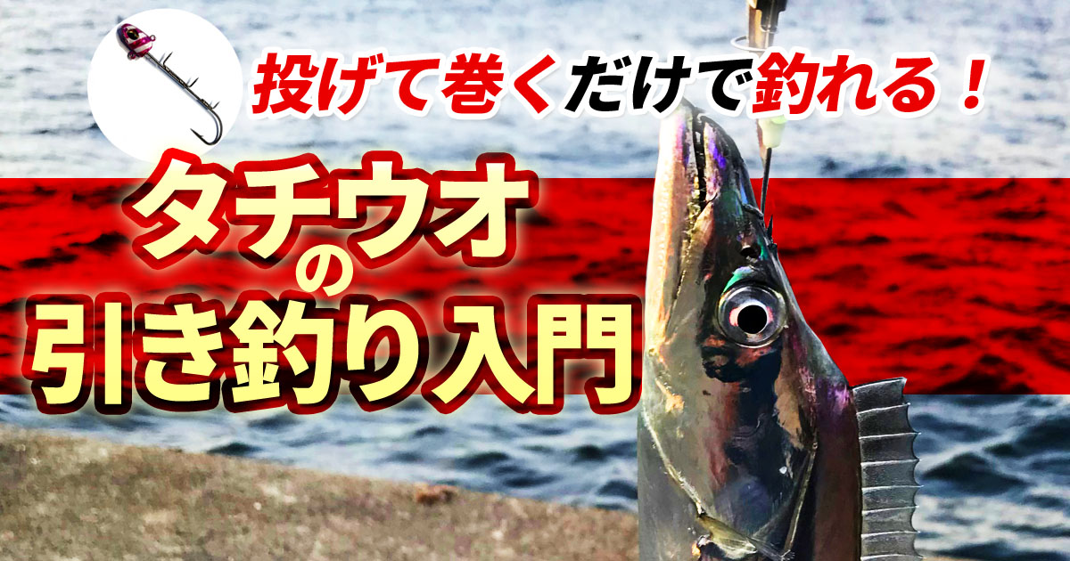 タチウオの引き釣り入門 投げて巻くだけカンタン仕掛け Fam Fishing