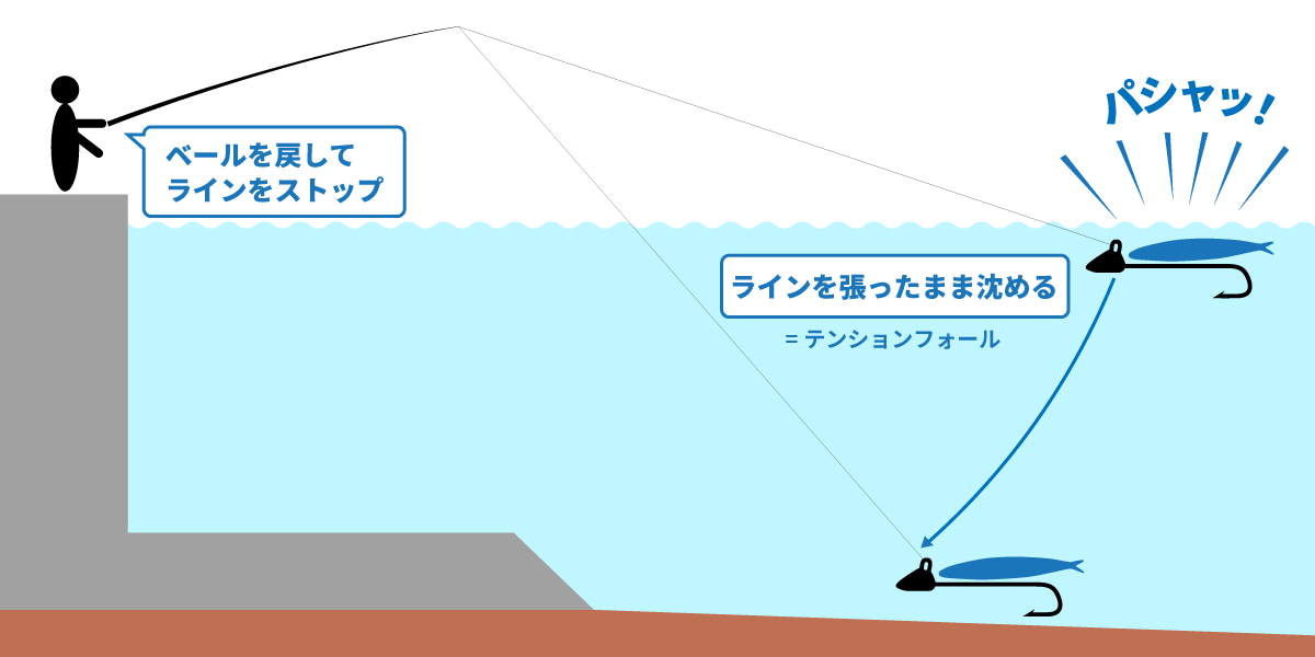 タチウオの引き釣り入門 投げて巻くだけカンタン仕掛け Fam Fishing