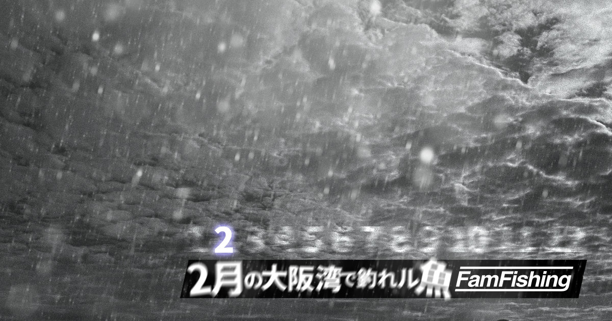 2月の大阪湾で釣れる魚