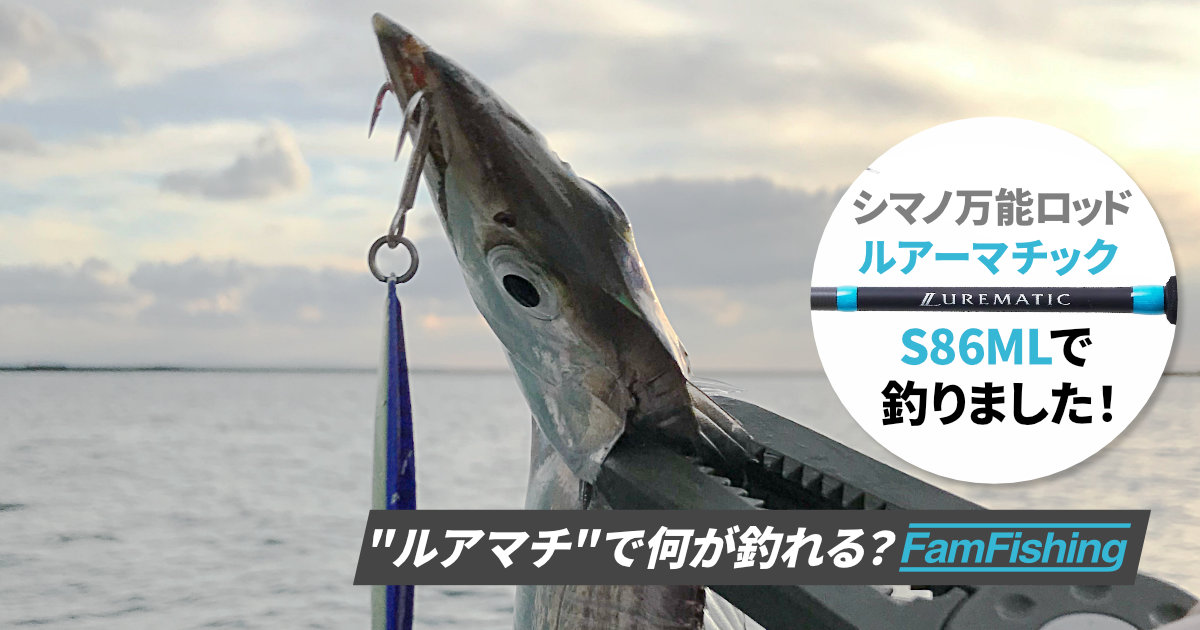 ルアーマチックで何が釣れる？